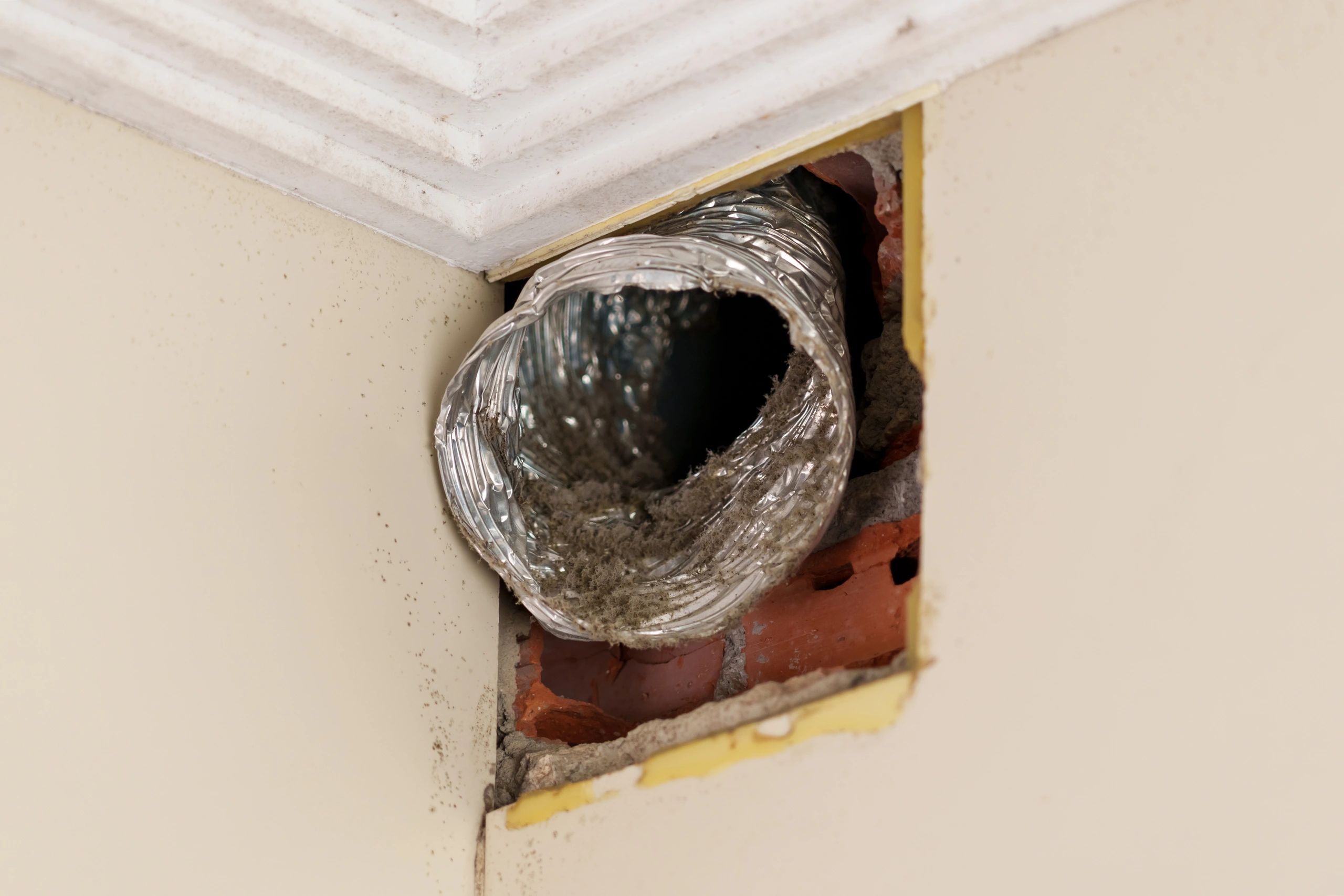 Homeowner giving thumbs up